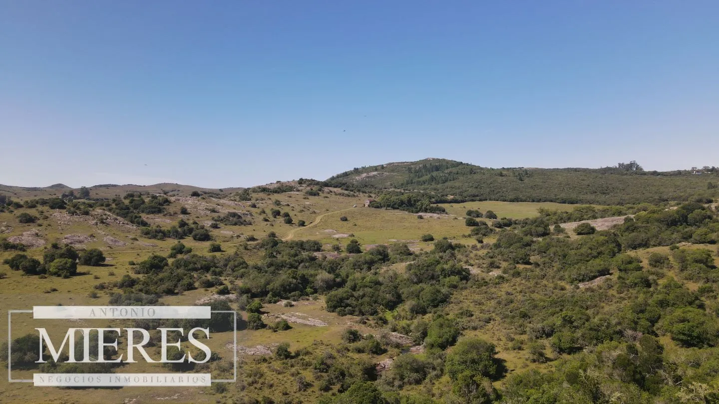 Campo en venta 173 ha en Aguas Blancas — foto 25