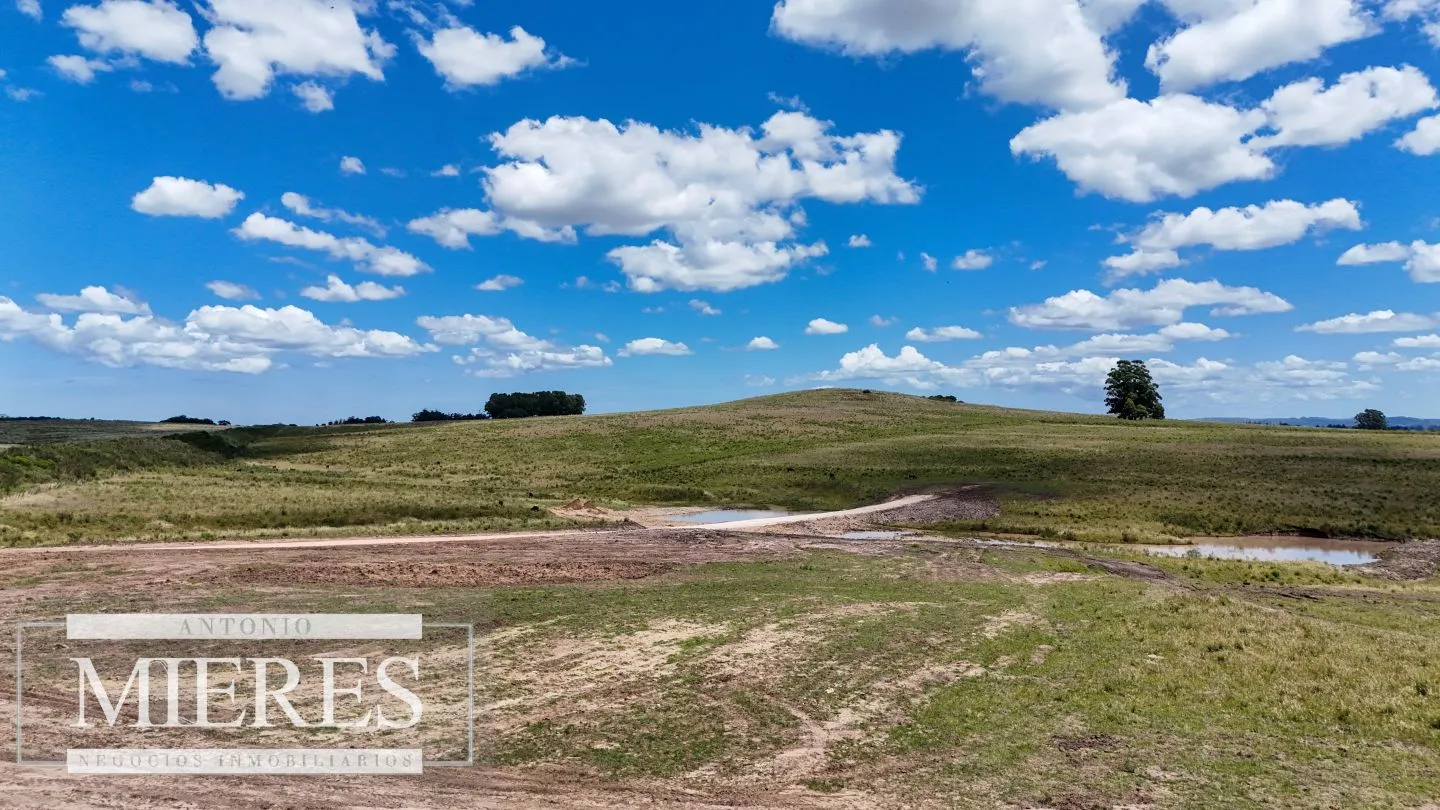 Venta de chacras de 3 has en San Carlos, Maldonado — foto 12