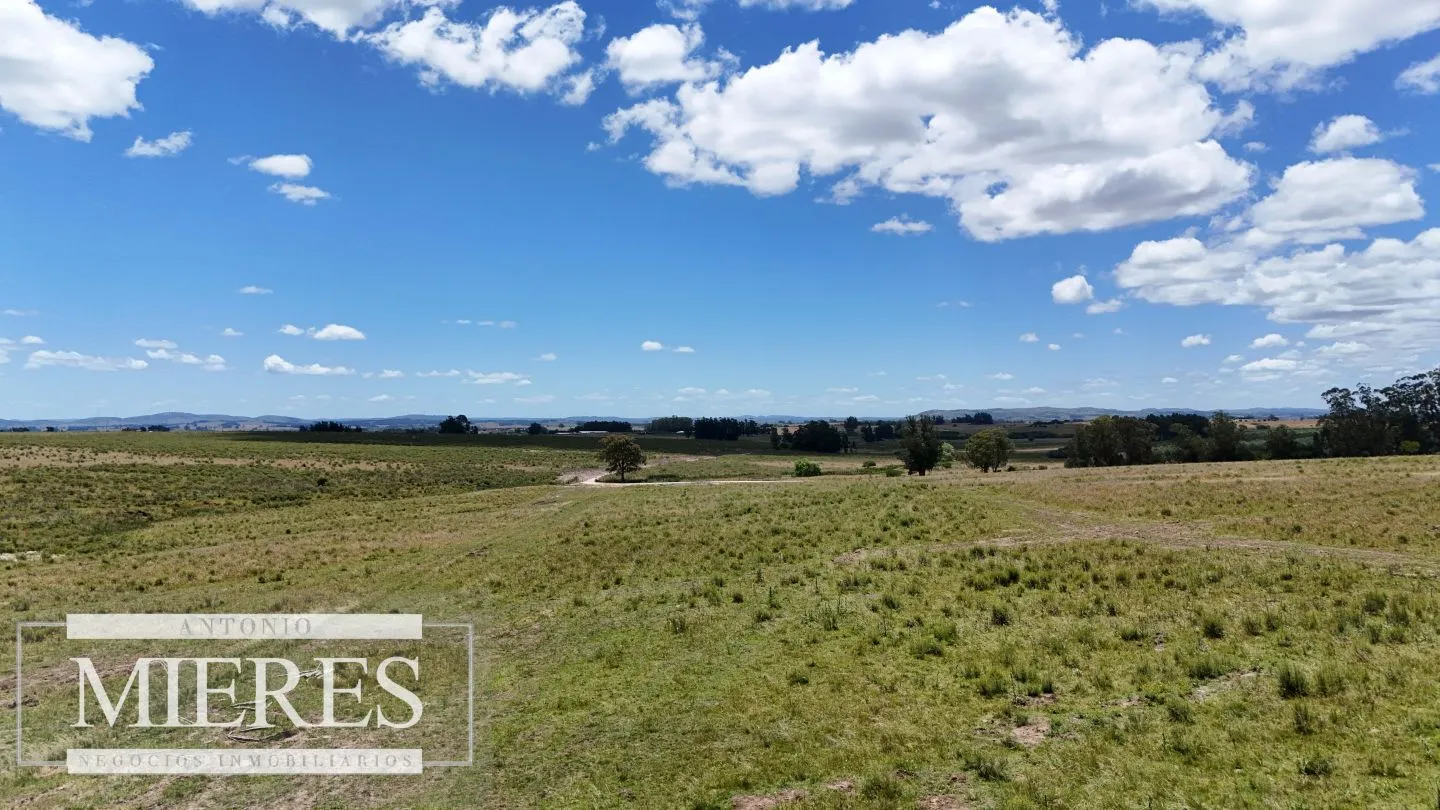 Venta de chacras de 3 has en San Carlos, Maldonado — foto 13