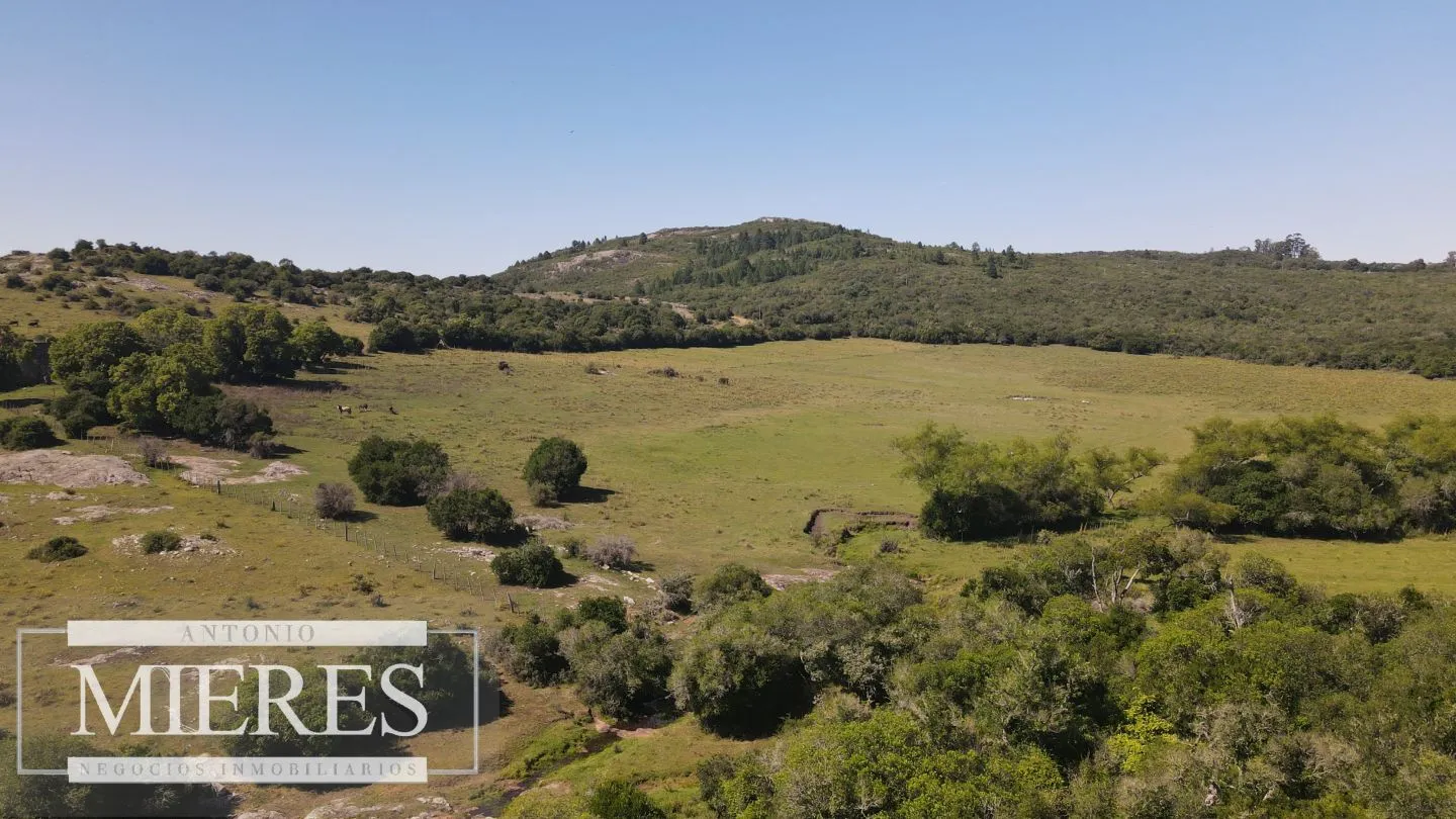 Campo en venta 173 ha en Aguas Blancas — foto 28