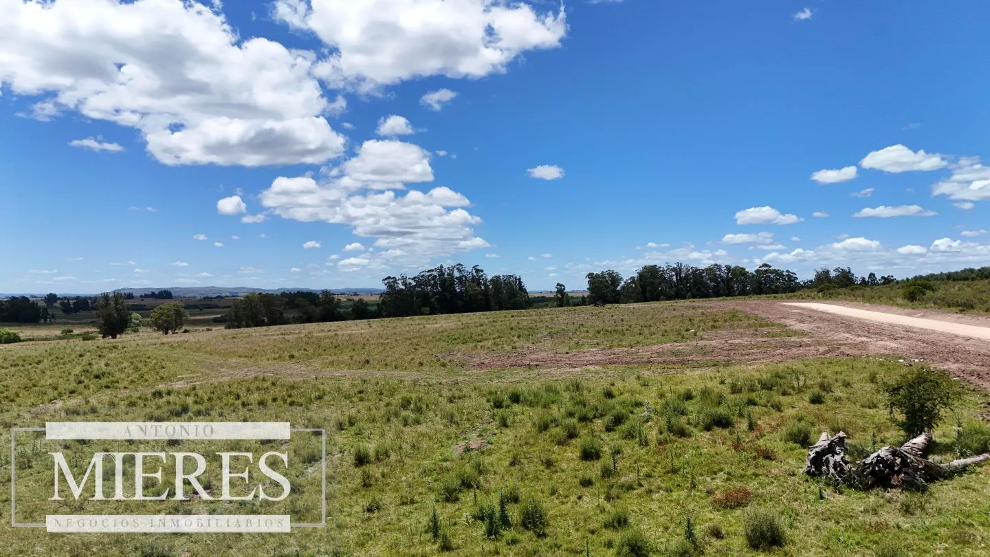 Venta de chacras de 3 has en San Carlos, Maldonado — foto 14