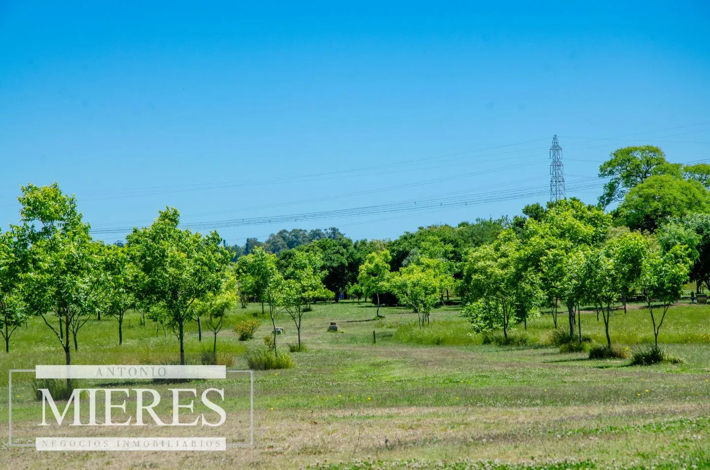 Chacra / Campo 12,0 ha en Maldonado — foto 3