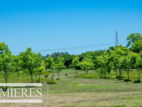Chacra / Campo 12,0 ha en Maldonado — foto 3