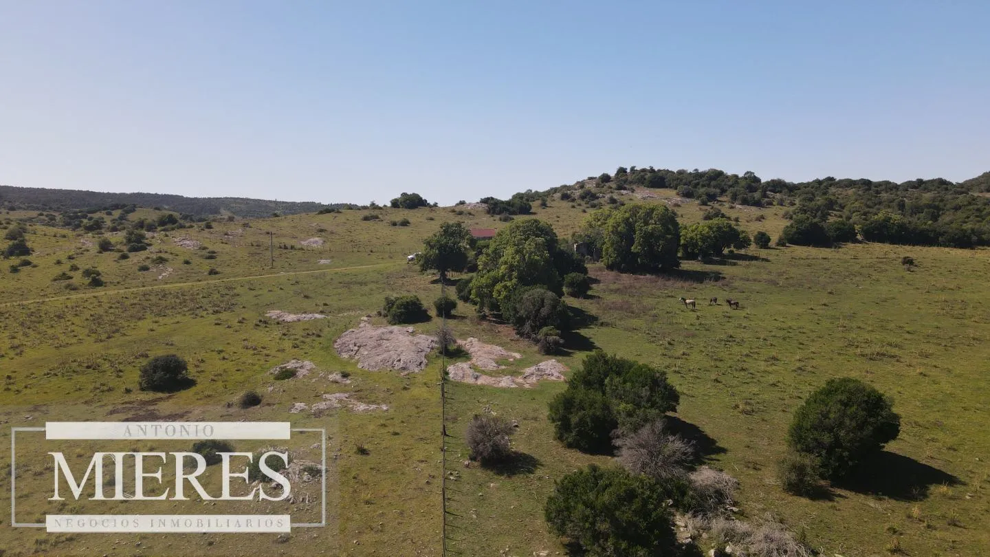 Campo en venta 173 ha en Aguas Blancas — foto 29