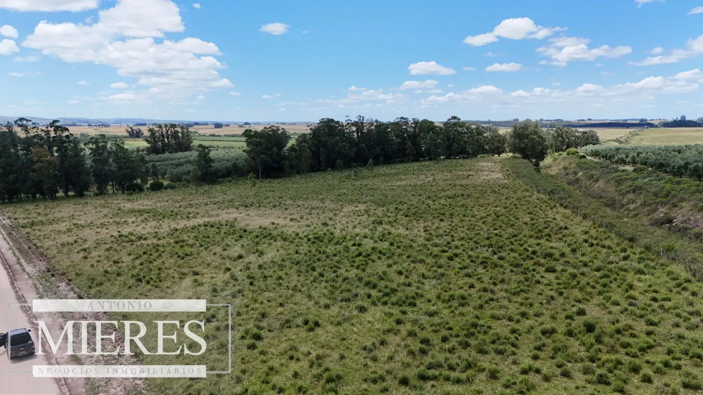 Venta de chacras de 3 has en San Carlos, Maldonado — foto 16