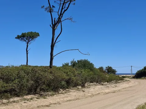 Venta de lotes Chihuahua a pasos del mar- Punta Ballena