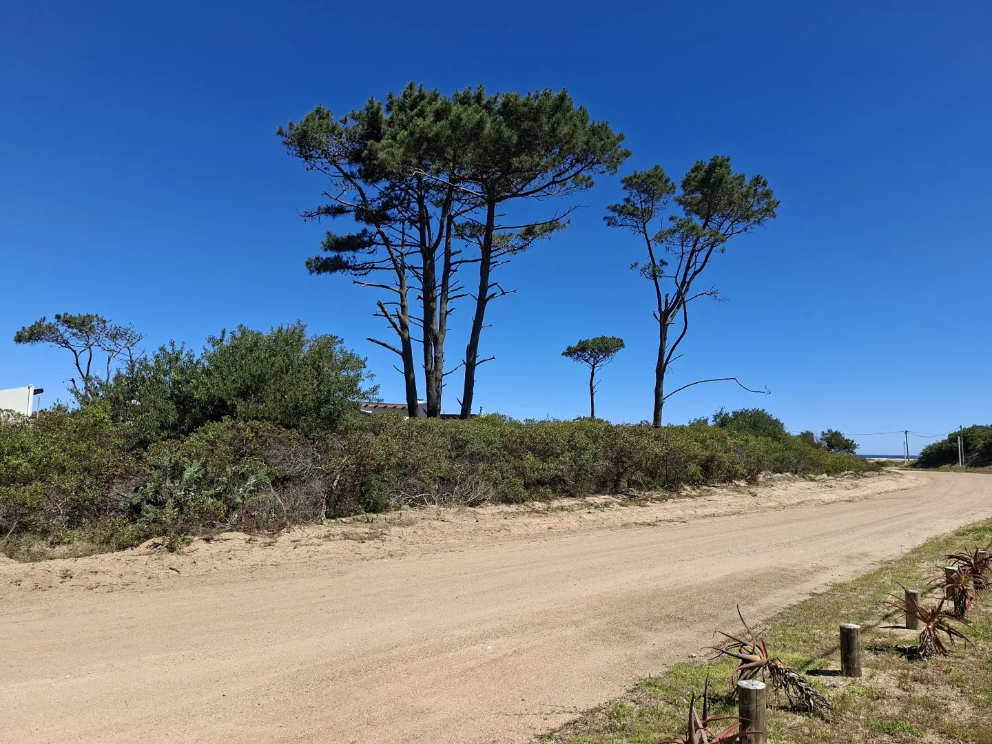 Venta de lotes Chihuahua a pasos del mar- Punta Ballena — foto 2