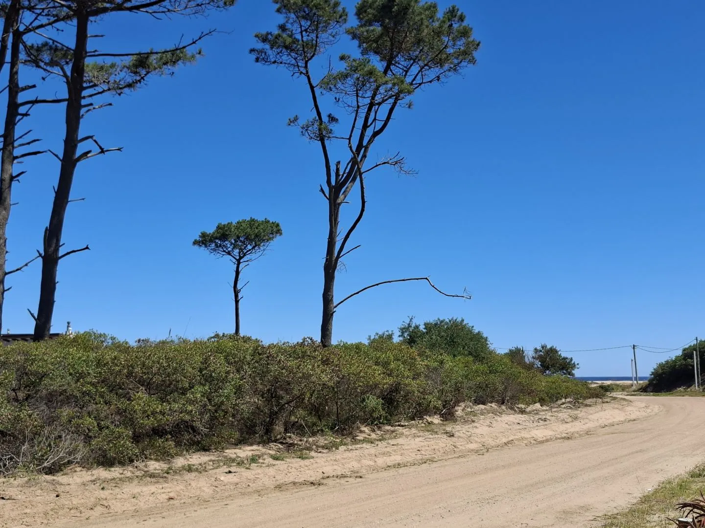 Venta de lotes Chihuahua a pasos del mar- Punta Ballena — foto 3