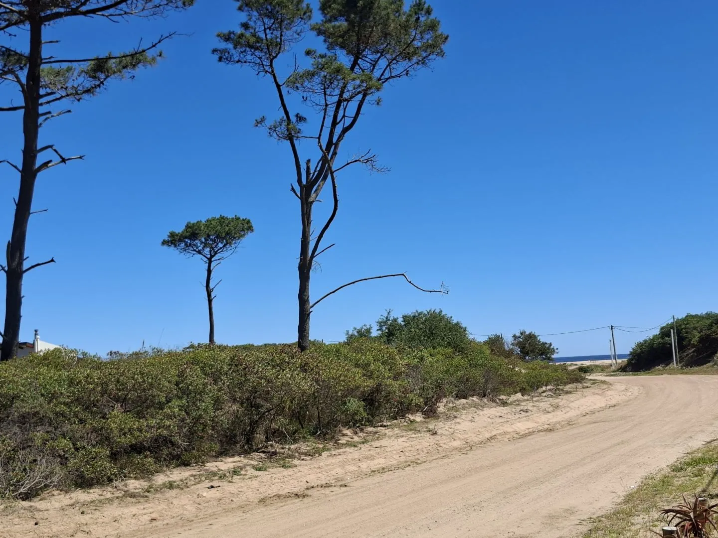 Venta de lotes Chihuahua a pasos del mar- Punta Ballena — foto 4