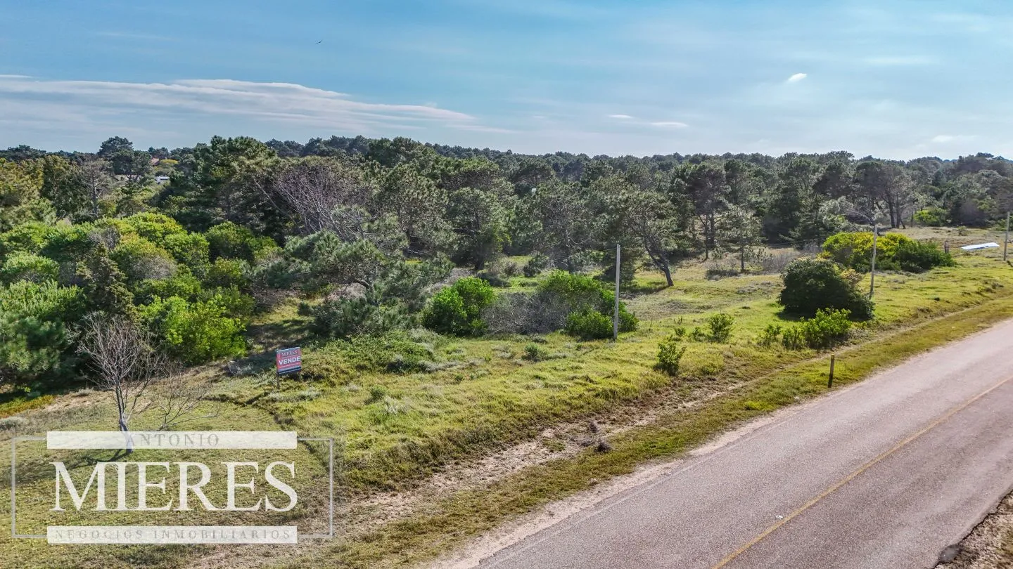 Venta de 2 Lotes total 3500m2  con Vista al Mar y al Faro — foto 5