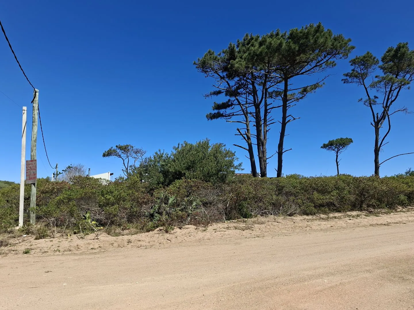 Venta de lotes Chihuahua a pasos del mar- Punta Ballena — foto 5