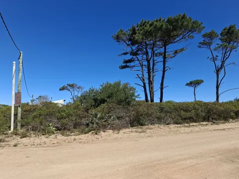 Venta de lotes Chihuahua a pasos del mar- Punta Ballena — foto 5