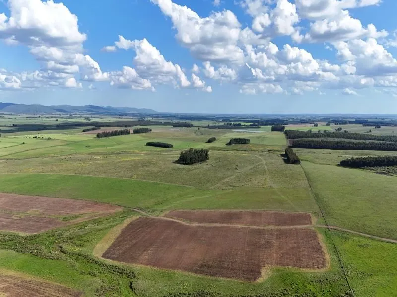 Campo ganadero de 500ha en Lavalleja — foto 1