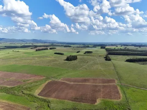 Campo ganadero de 500ha en Lavalleja