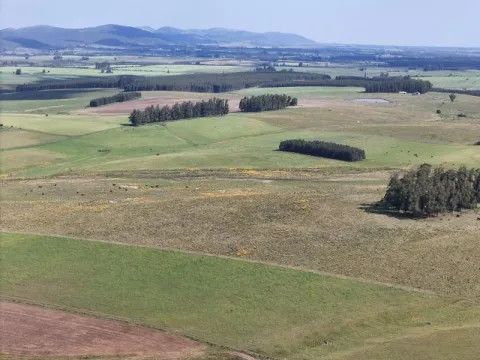 Campo ganadero de 500ha en Lavalleja — foto 2