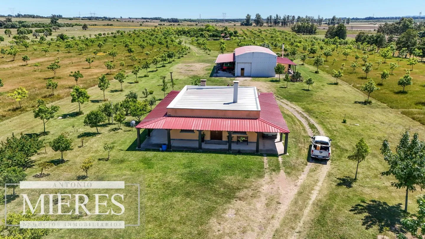 Chacra / Campo 12,0 ha en Maldonado — foto 16