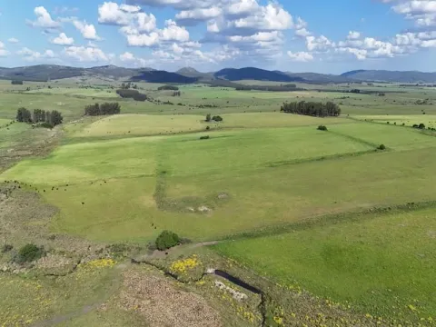 Campo ganadero de 500ha en Lavalleja — foto 3