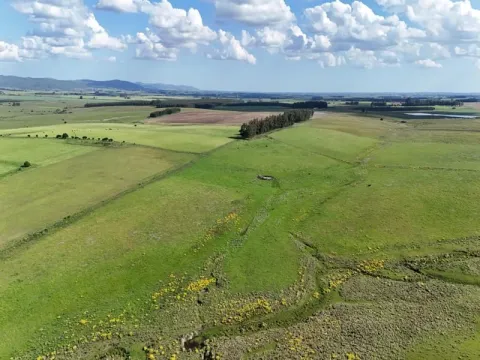 Campo ganadero de 500ha en Lavalleja — foto 4