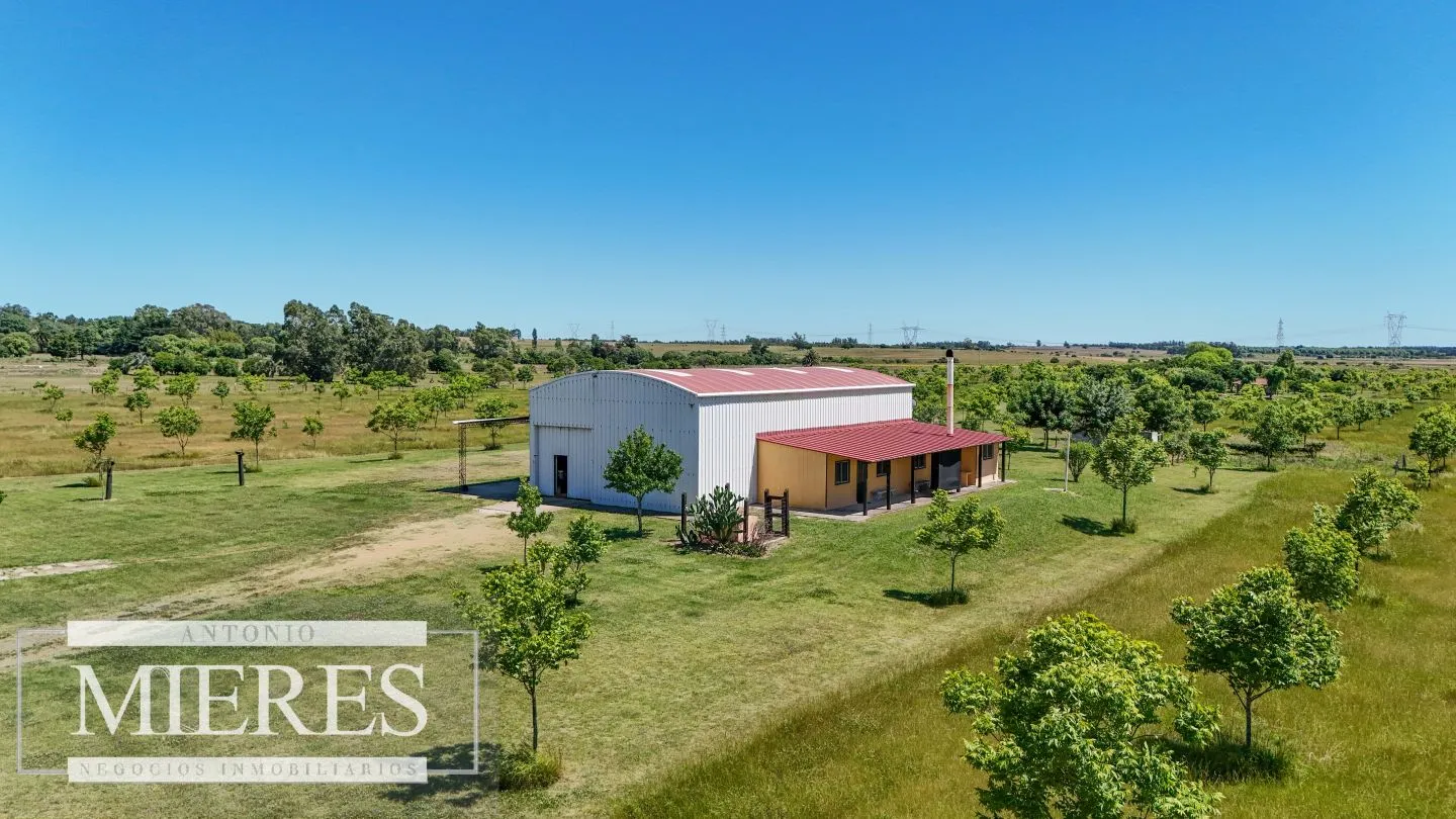 Chacra / Campo 12,0 ha en Maldonado — foto 17