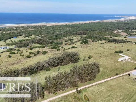 Terrenos en venta de 4000m c/vista mar en Jose Ignacio — foto 4