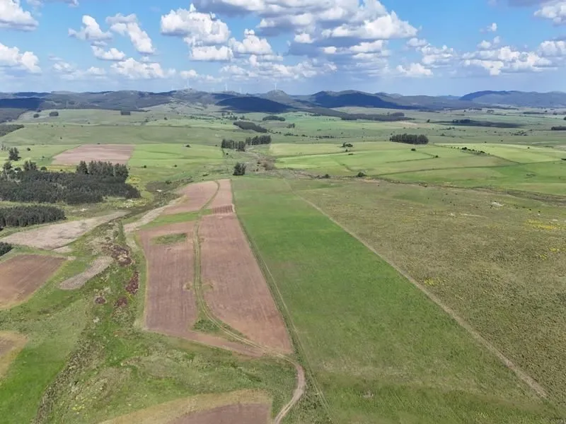 Campo ganadero de 500ha en Lavalleja — foto 5