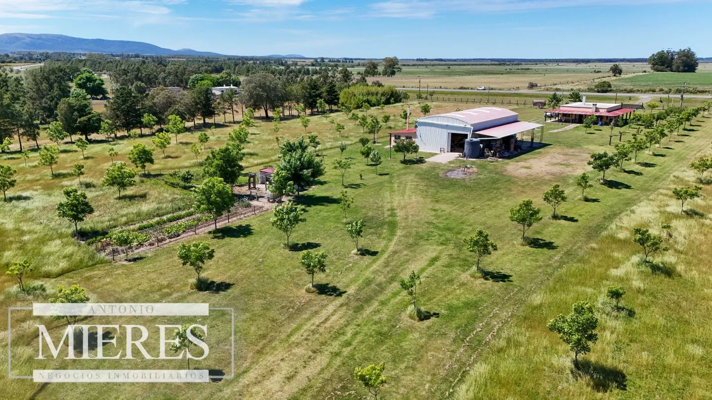 Chacra / Campo 12,0 ha en Maldonado — foto 18