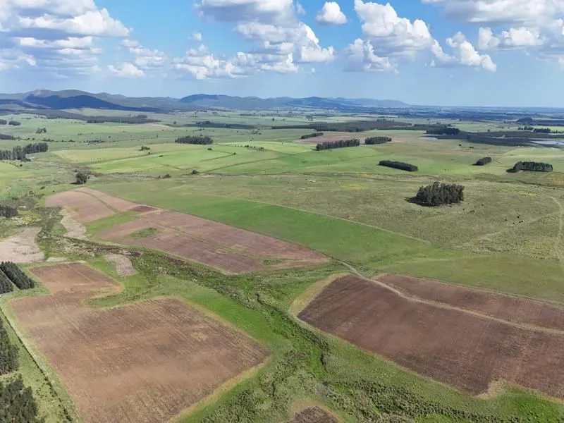 Campo ganadero de 500ha en Lavalleja — foto 6