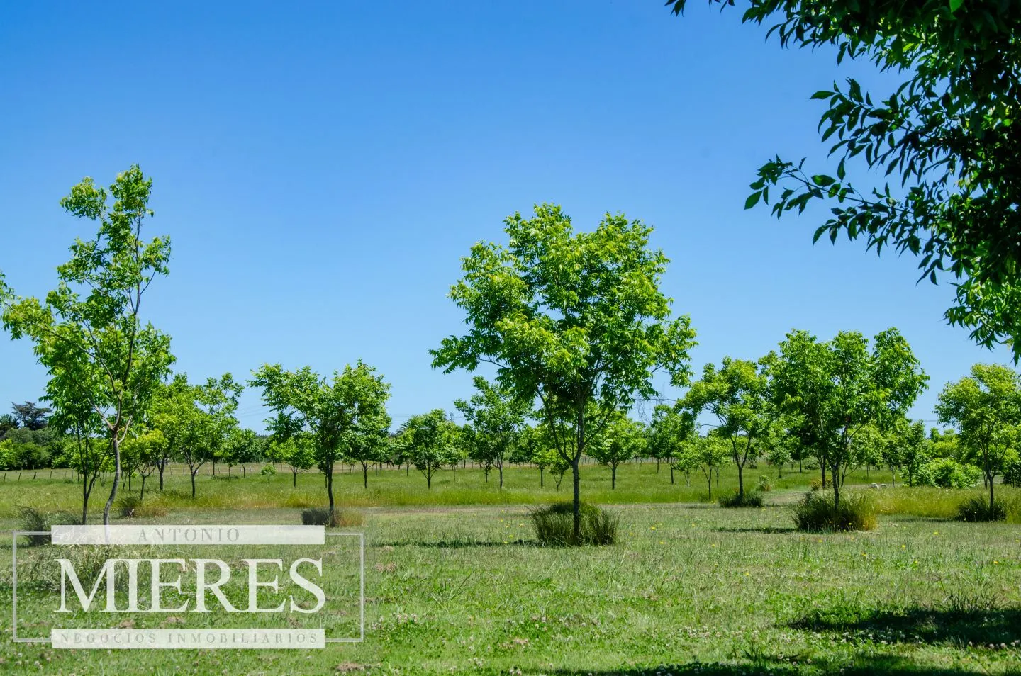 Chacra / Campo 12,0 ha en Maldonado — foto 20