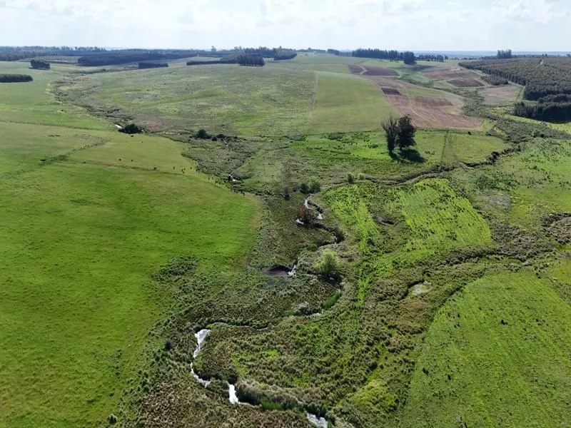 Campo ganadero de 500ha en Lavalleja — foto 10