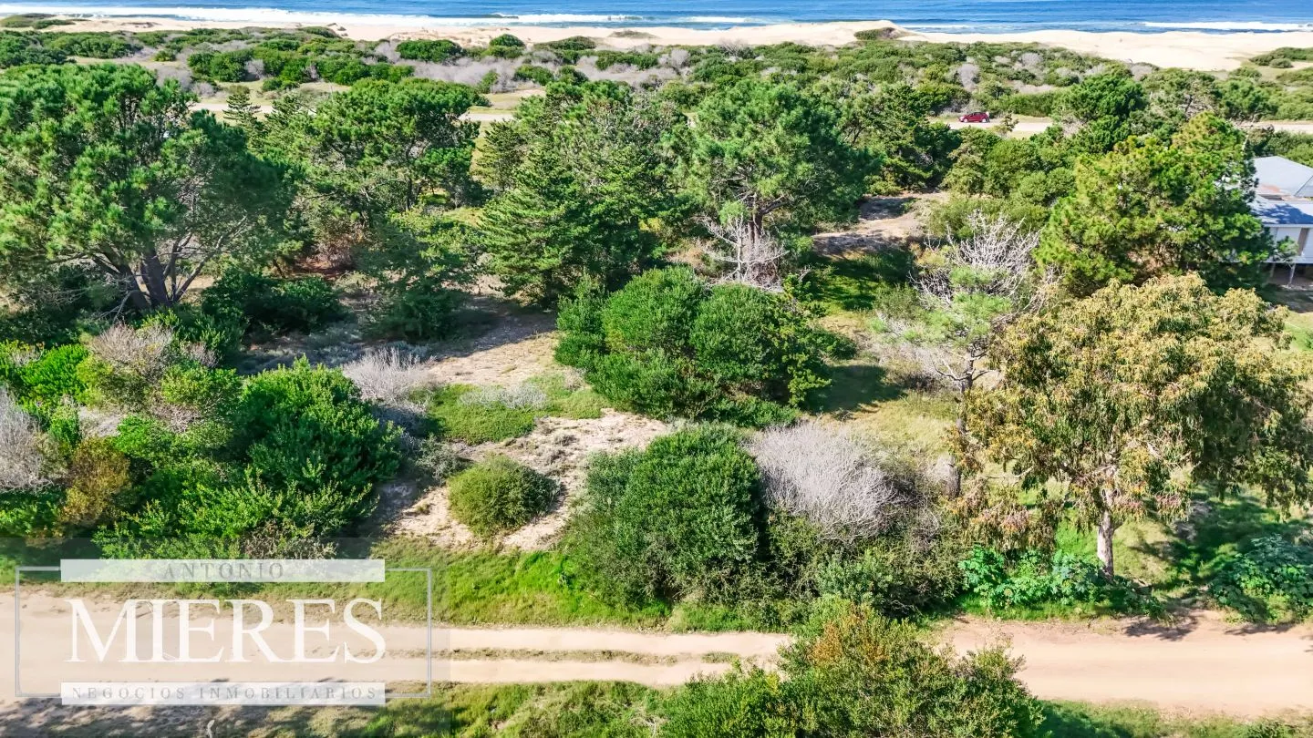Venta de 2 Lotes total 3500m2  con Vista al Mar y al Faro — foto 14