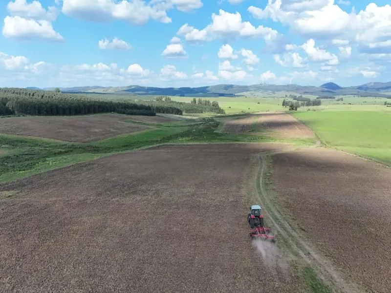 Campo ganadero de 500ha en Lavalleja — foto 11