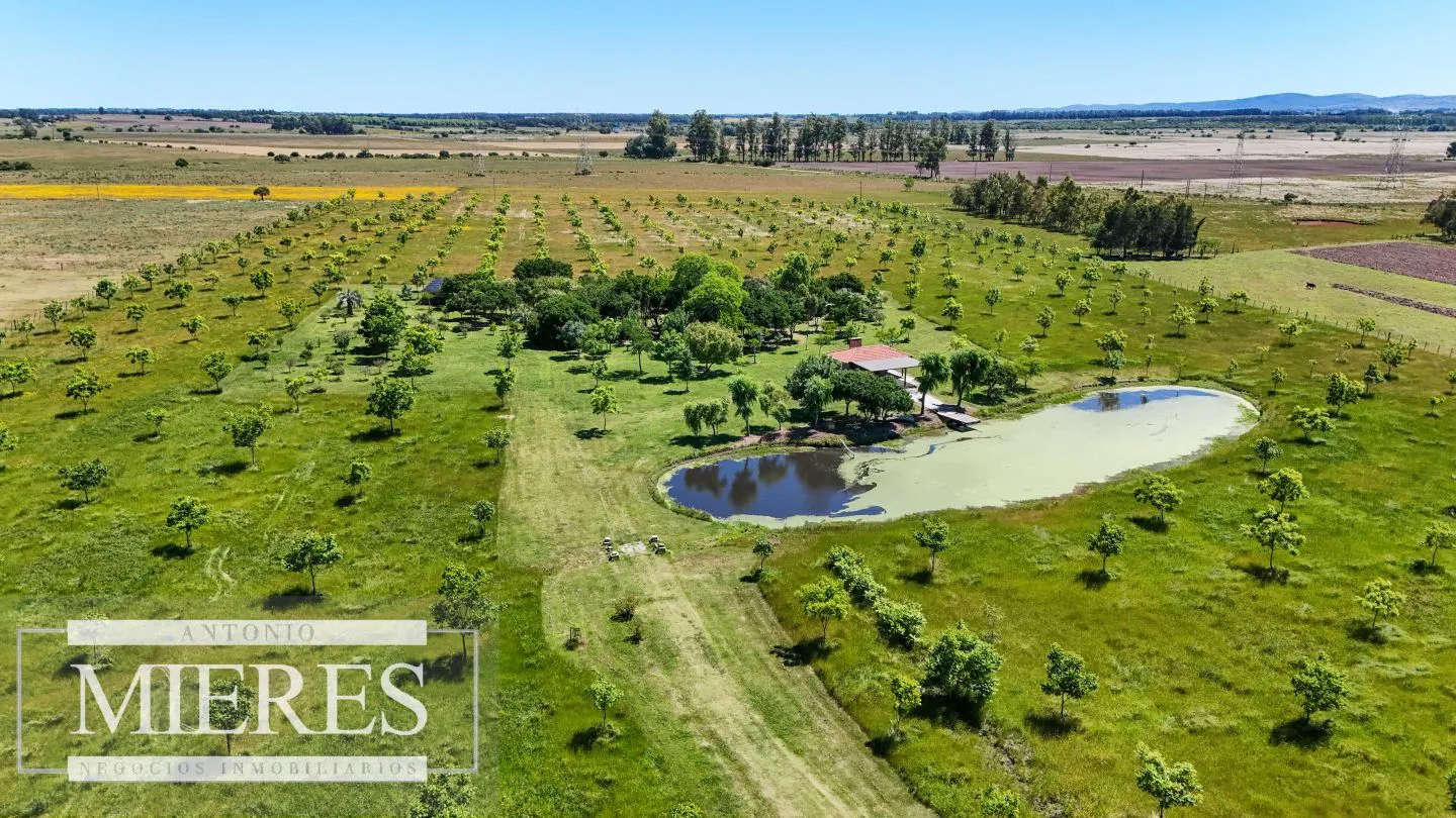 Chacra / Campo 12,0 ha en Maldonado — foto 22