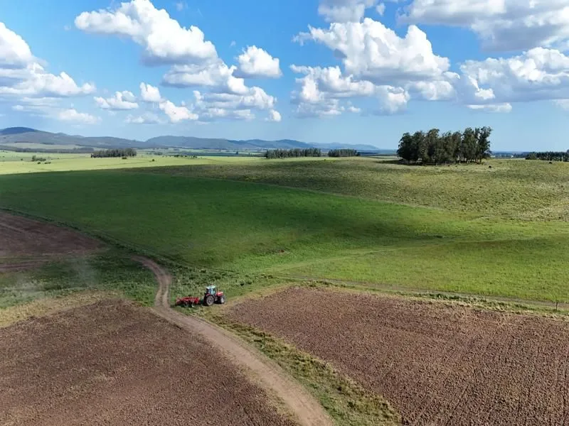 Campo ganadero de 500ha en Lavalleja — foto 12