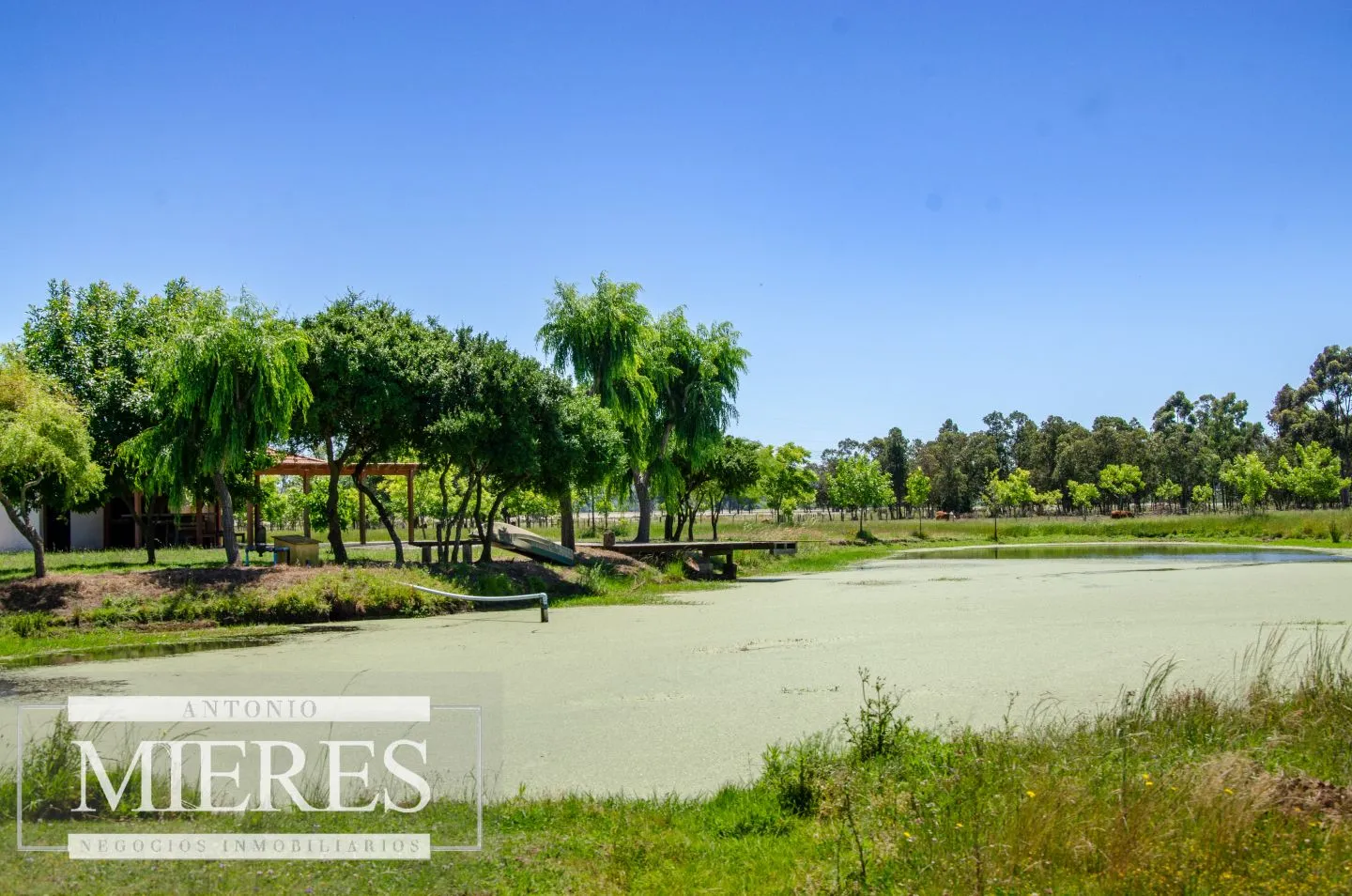 Chacra / Campo 12,0 ha en Maldonado — foto 23
