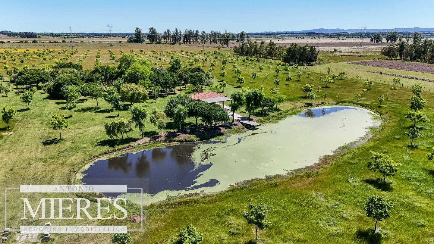 Chacra / Campo 12,0 ha en Maldonado — foto 26