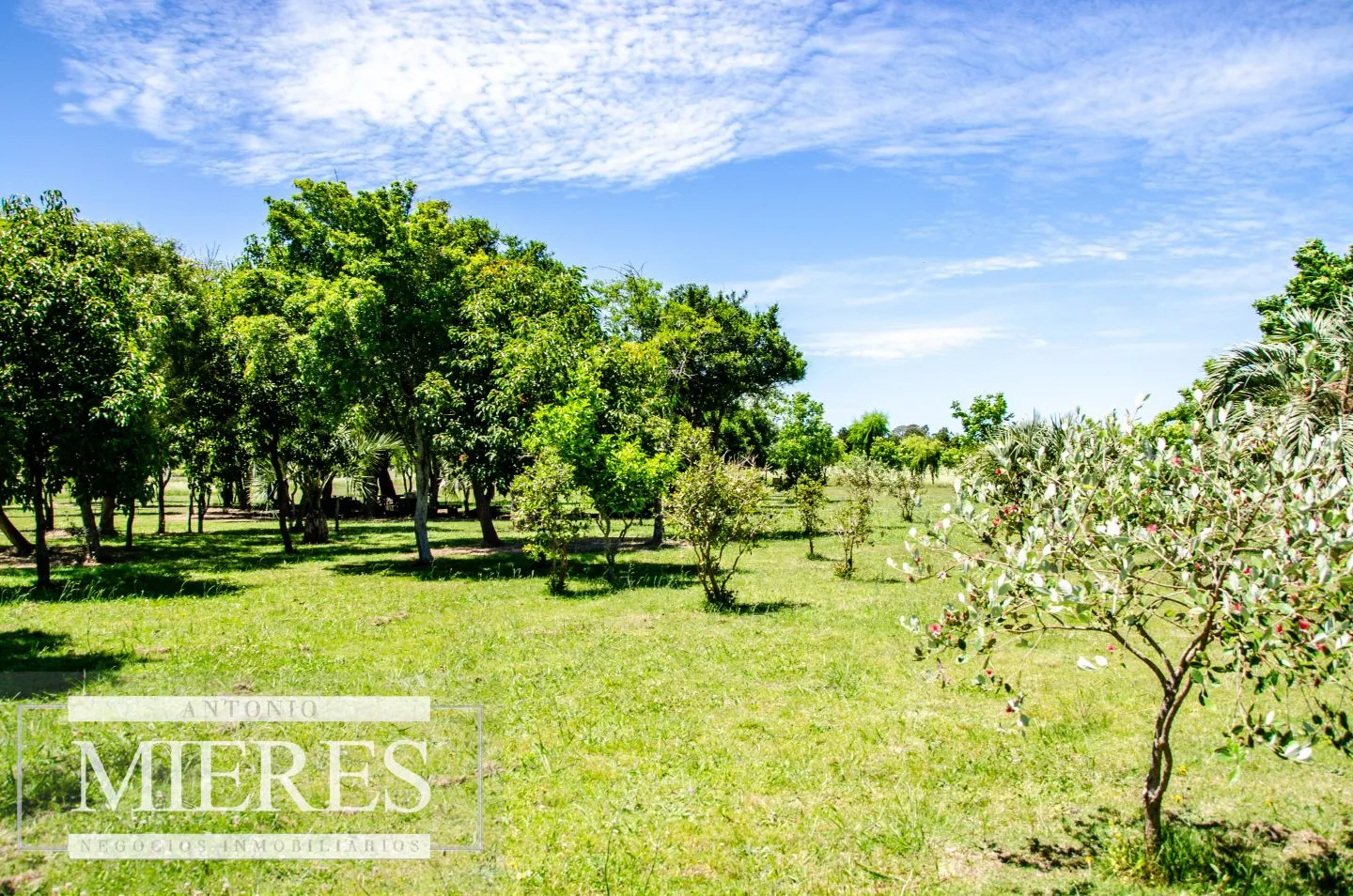Chacra / Campo 12,0 ha en Maldonado — foto 28