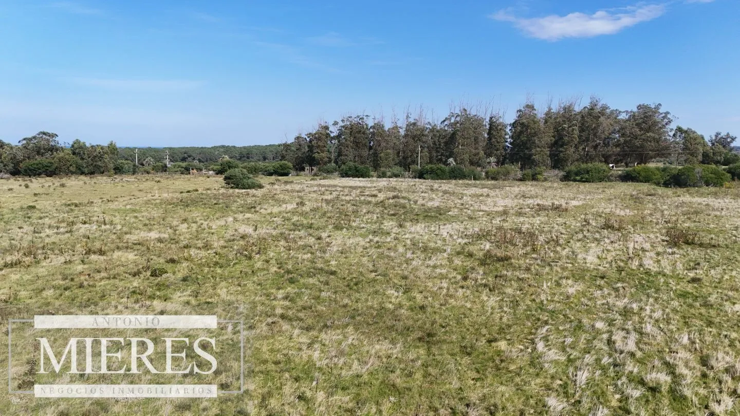 Terrenos en venta de 4000m c/vista mar en Jose Ignacio — foto 16