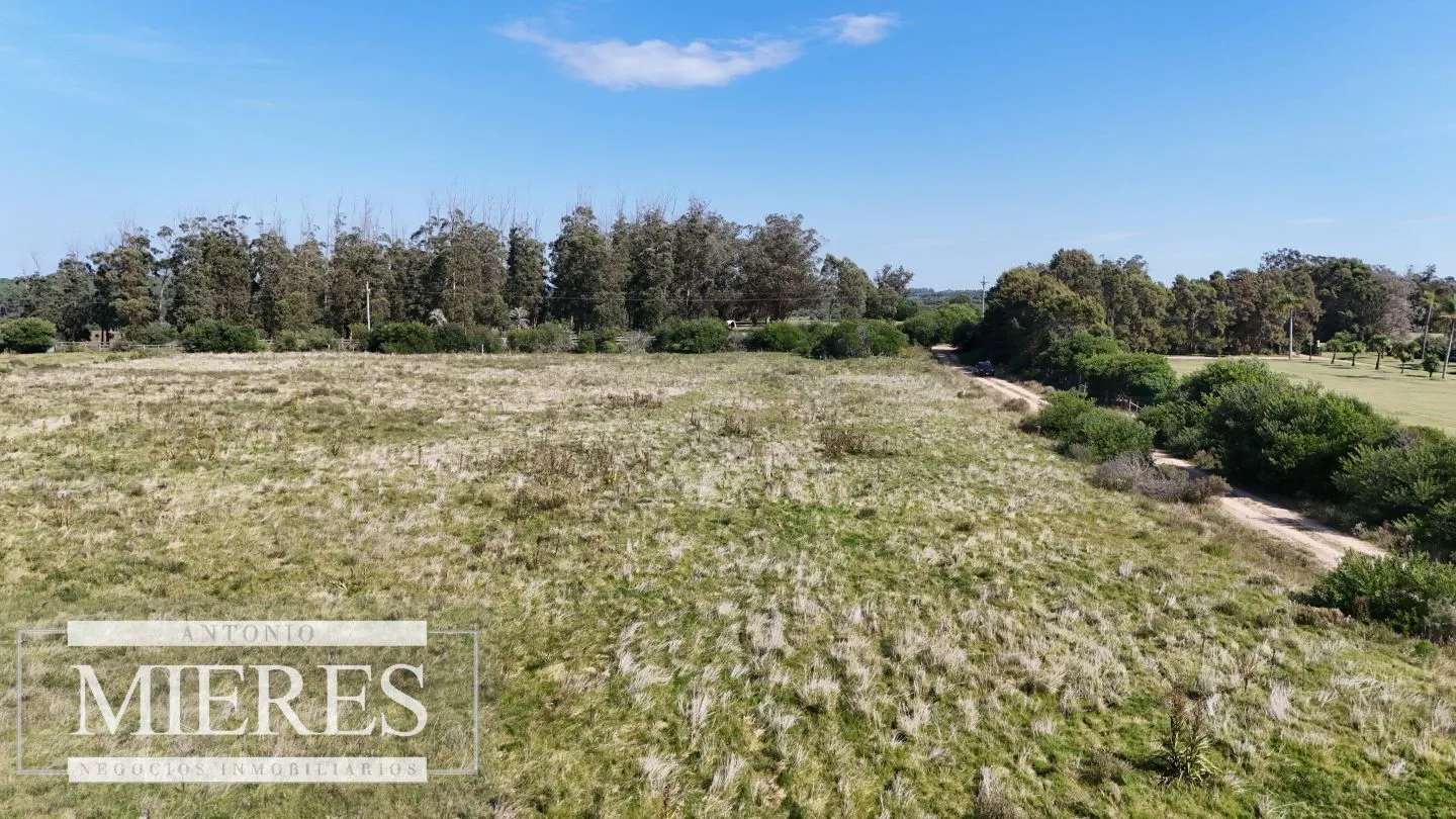 Terrenos en venta de 4000m c/vista mar en Jose Ignacio — foto 17