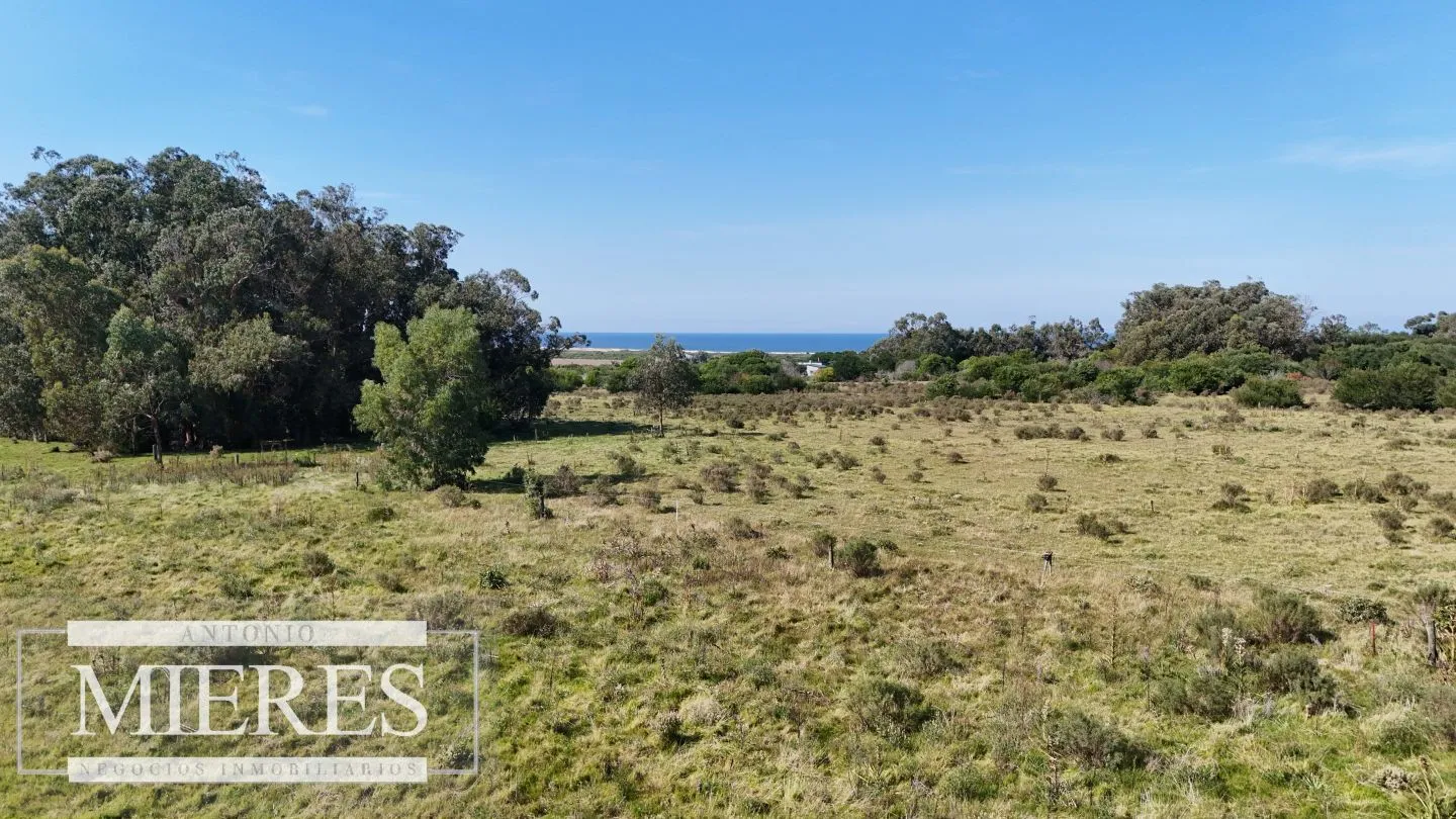Terrenos en venta de 4000m c/vista mar en Jose Ignacio — foto 18