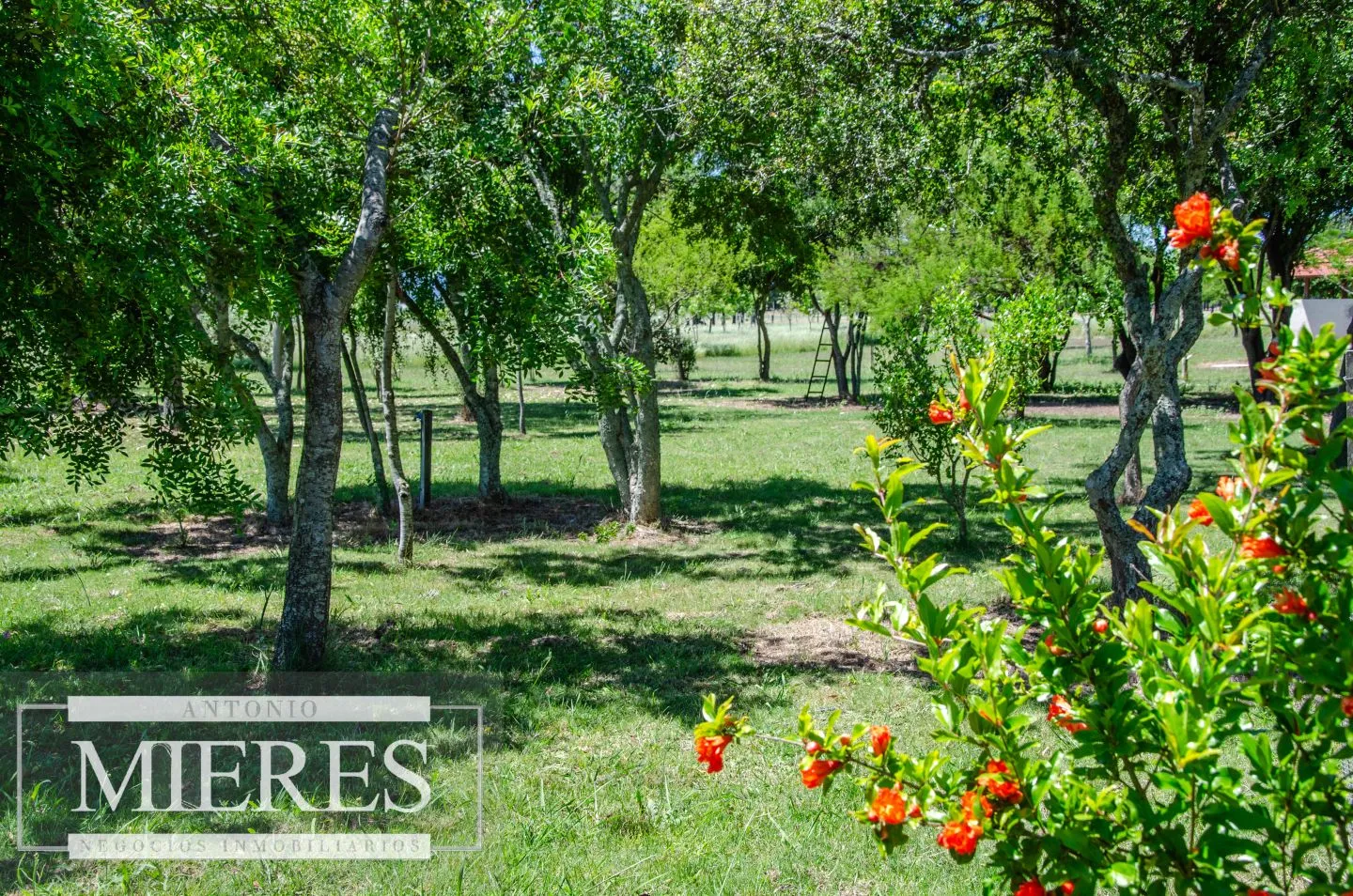Chacra / Campo 12,0 ha en Maldonado — foto 30