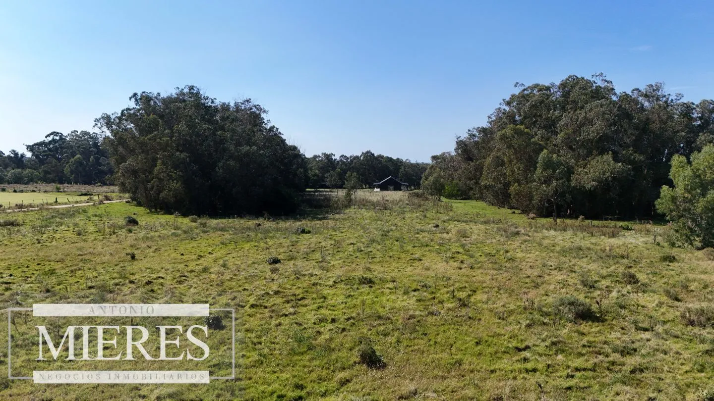 Terrenos en venta de 4000m c/vista mar en Jose Ignacio — foto 19