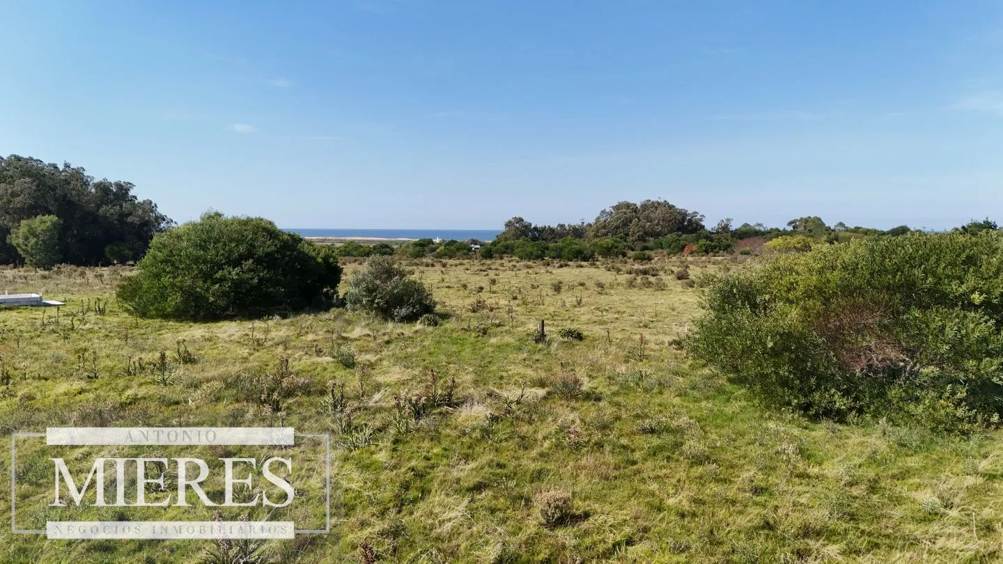 Terrenos en venta de 4000m c/vista mar en Jose Ignacio — foto 20