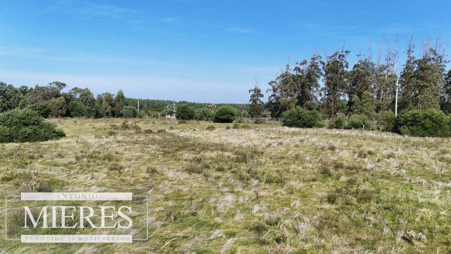 Terrenos en venta de 4000m c/vista mar en Jose Ignacio — foto 22