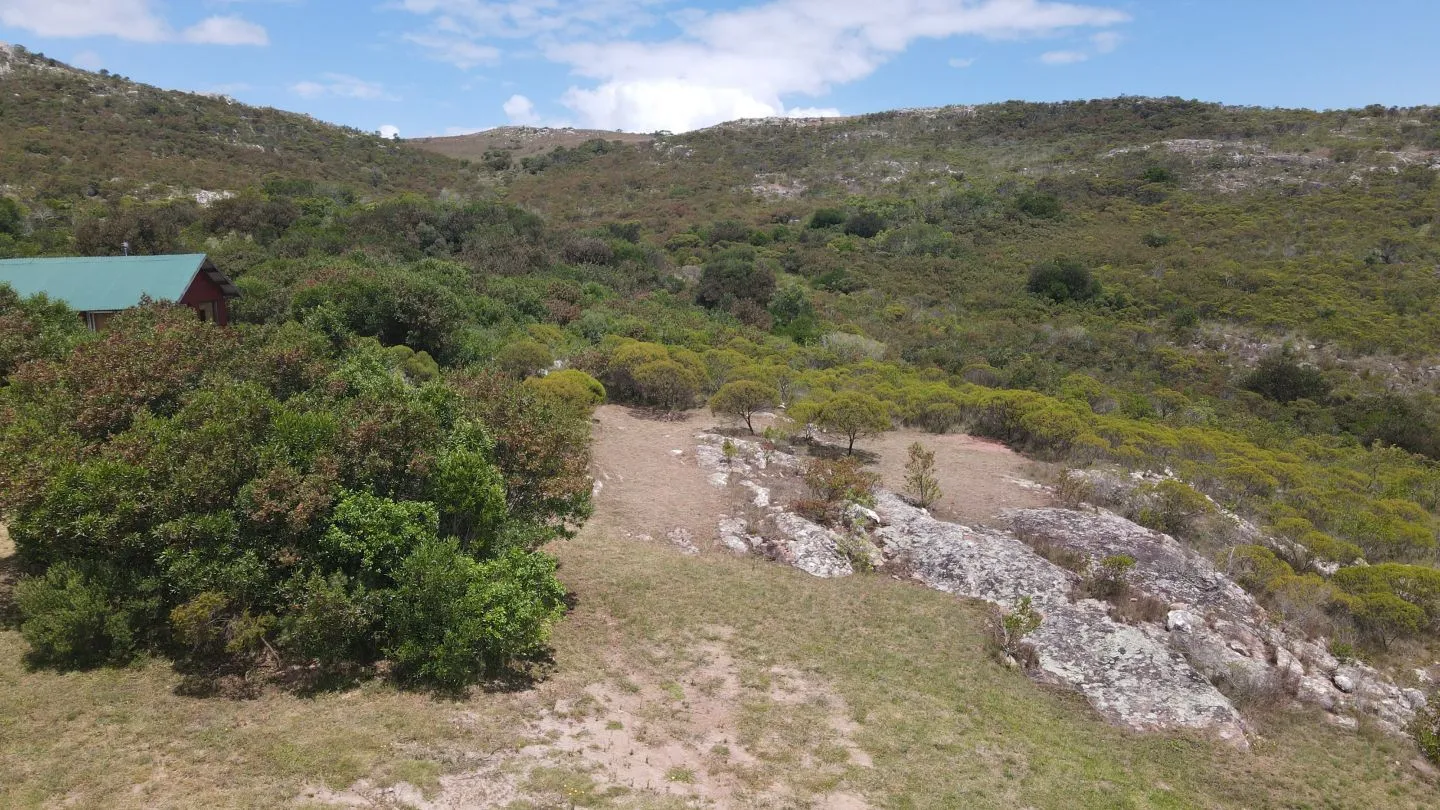 Chacra de 5 ha en fraccionamiento las cañas, Maldonado Urugu — foto 3