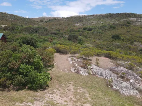 Chacra de 5 ha en fraccionamiento las cañas, Maldonado Urugu — foto 3