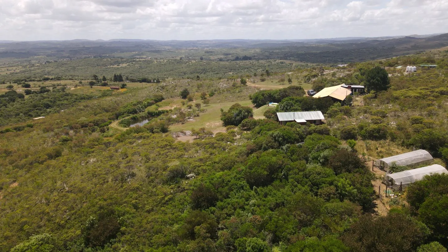 Chacra de 5 ha en fraccionamiento las cañas, Maldonado Urugu — foto 5
