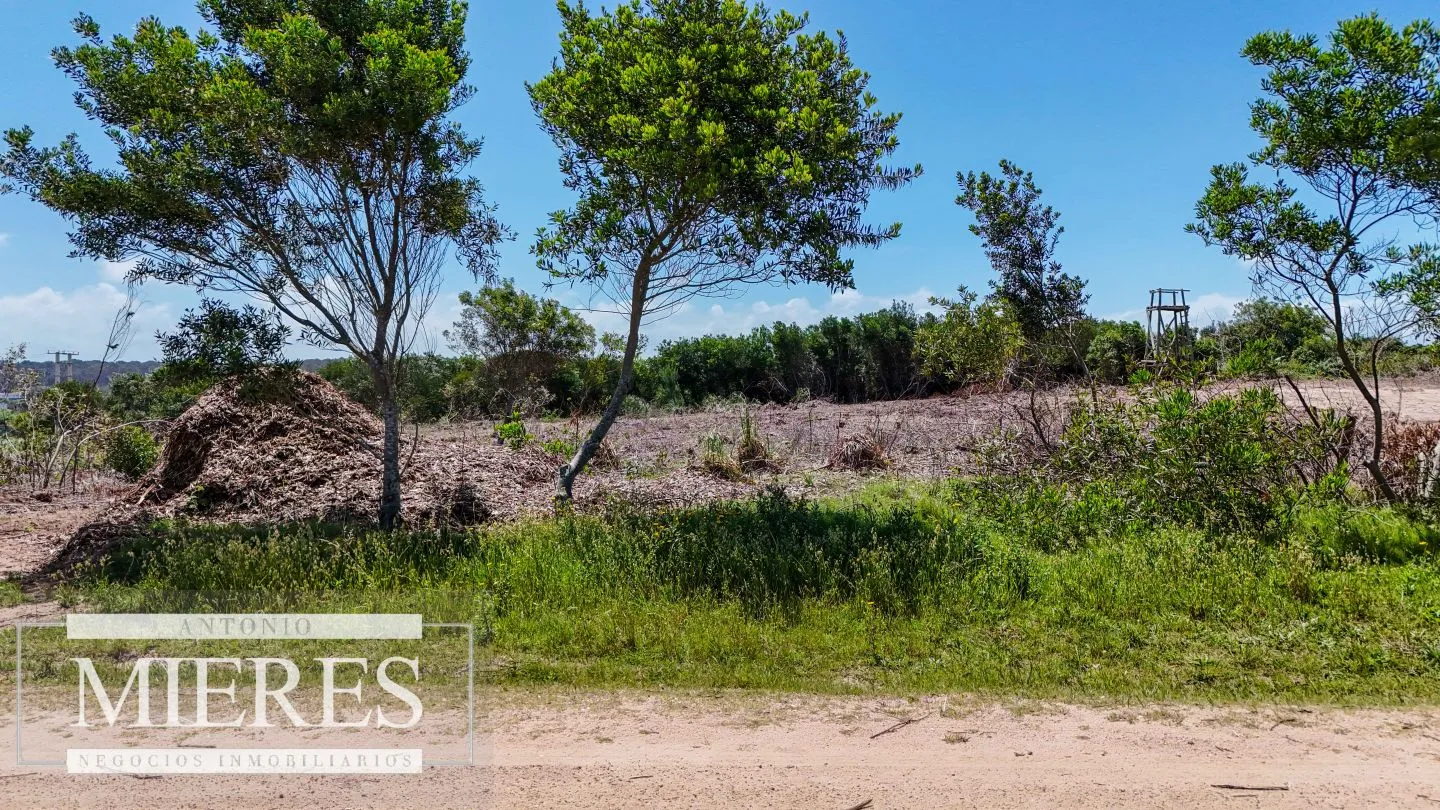 Terreno en Punta Del Este — foto 11