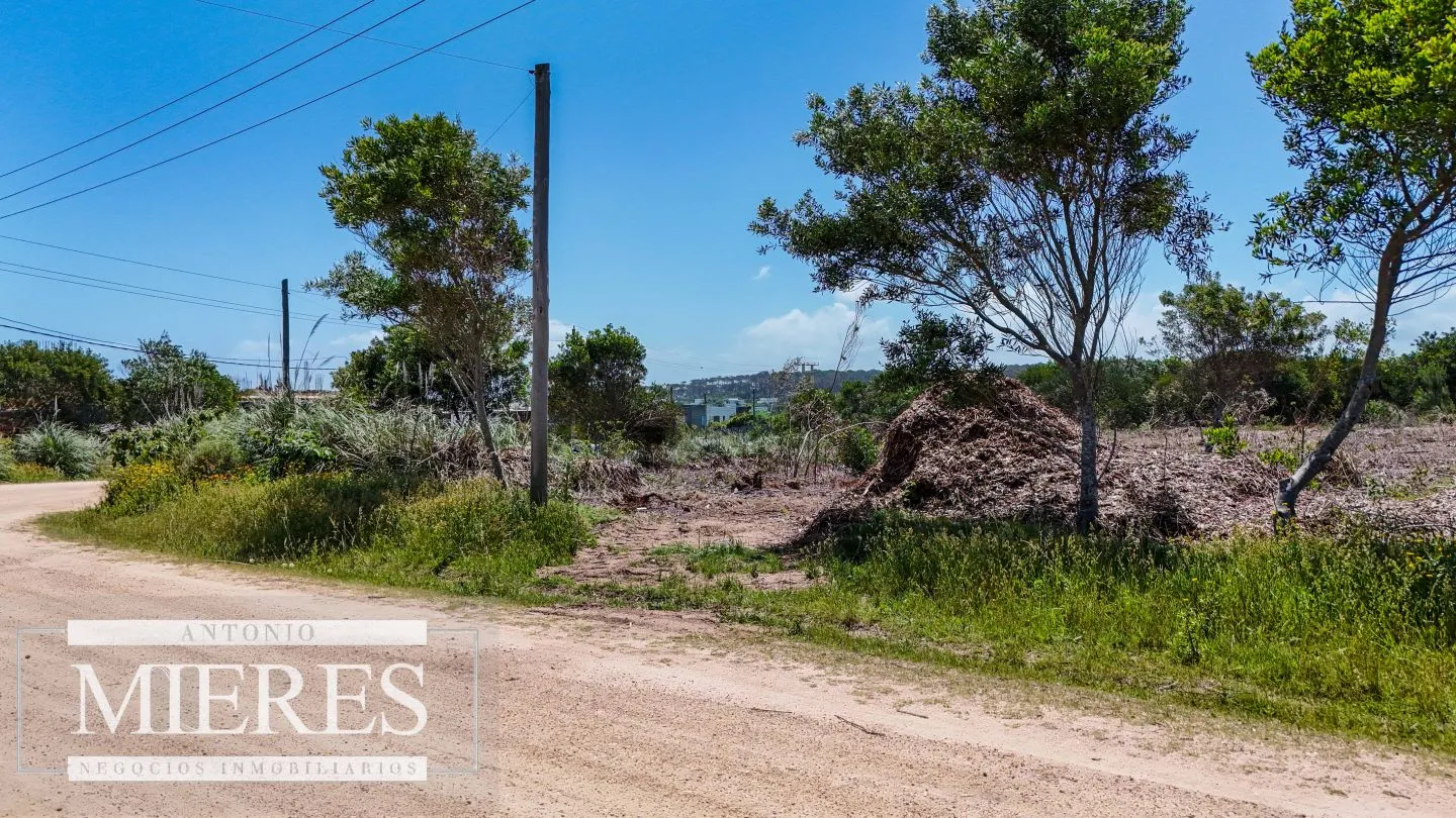 Terreno en Punta Del Este — foto 12