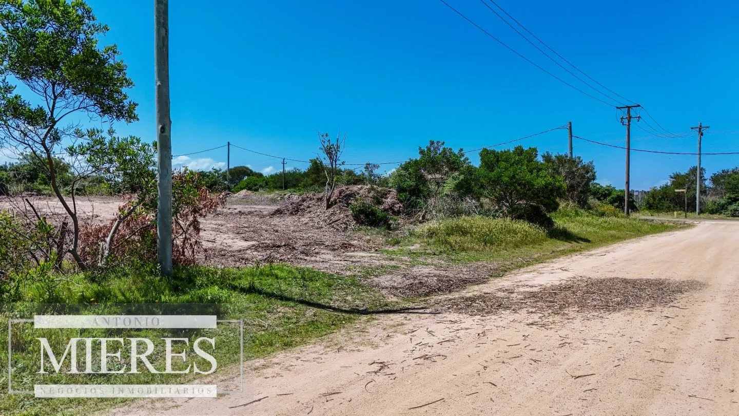 Terreno en Punta Del Este — foto 13