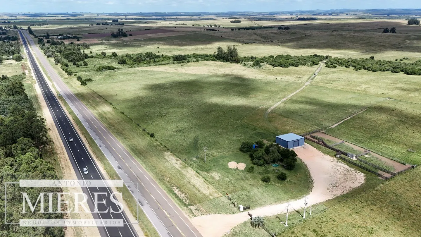 Chacra / Campo 187 ha en Garzón — foto 1